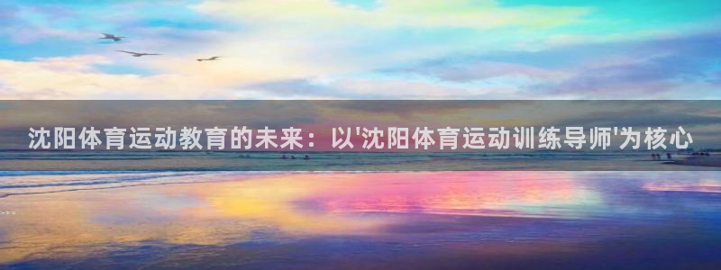 沈阳体育运动教育的未来：以\'沈阳体育运动训练导师\'为核心