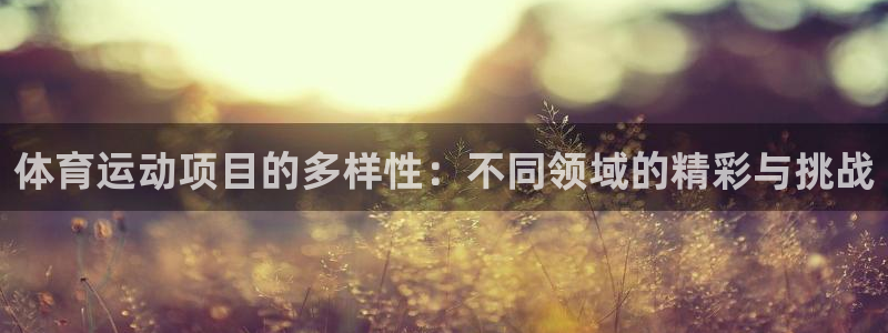 体育运动项目的多样性：不同领域的精彩与挑战