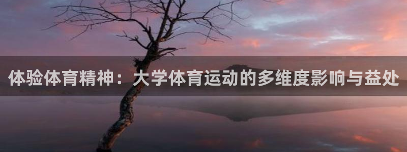 体验体育精神：大学体育运动的多维度影响与益处