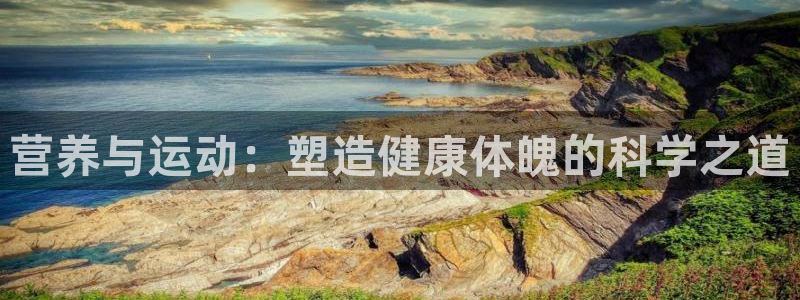 营养与运动：塑造健康体魄的科学之道