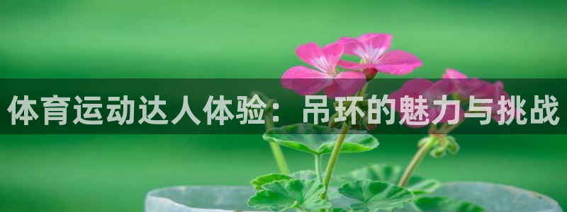 体育运动达人体验：吊环的魅力与挑战