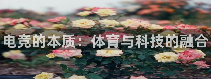 电竞的本质：体育与科技的融合