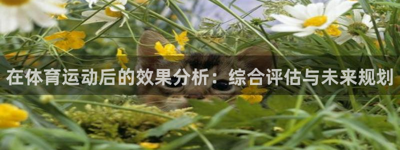 在体育运动后的效果分析：综合评估与未来规划