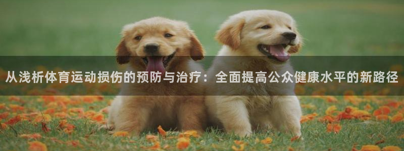 从浅析体育运动损伤的预防与治疗：全面提高公众健康水平的新路径