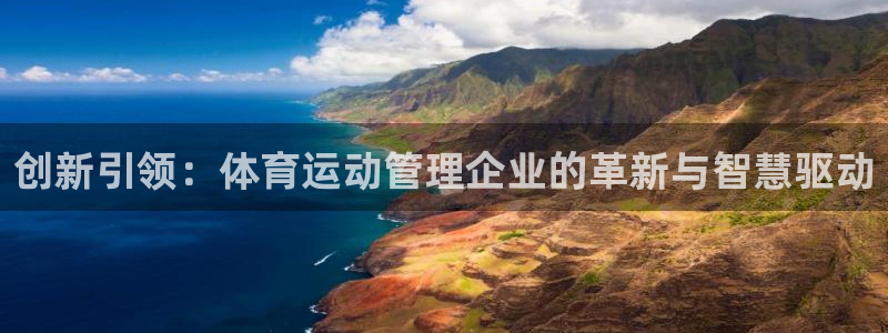 创新引领：体育运动管理企业的革新与智慧驱动