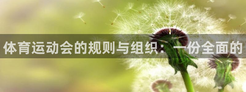 体育运动会的规则与组织：一份全面的