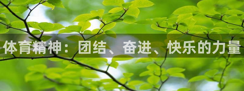 体育精神：团结、奋进、快乐的力量