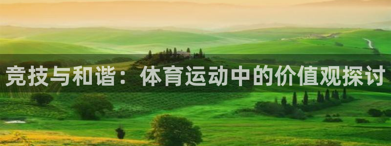 竞技与和谐：体育运动中的价值观探讨