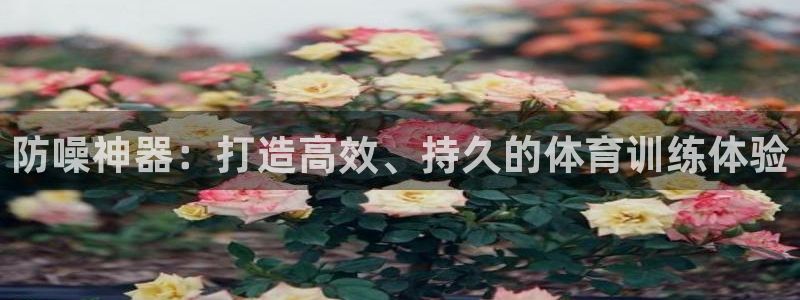 防噪神器：打造高效、持久的体育训练体验