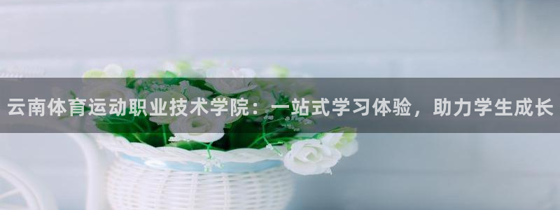云南体育运动职业技术学院：一站式学习体验，助力学生成长