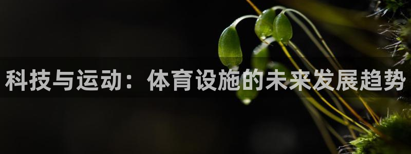 科技与运动：体育设施的未来发展趋势