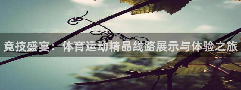 竞技盛宴：体育运动精品线路展示与体验之旅