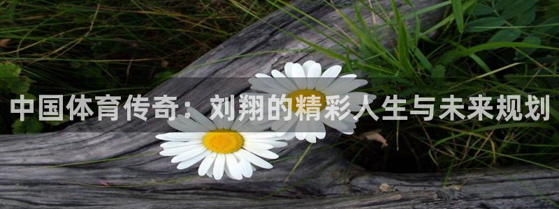 中国体育传奇：刘翔的精彩人生与未来规划
