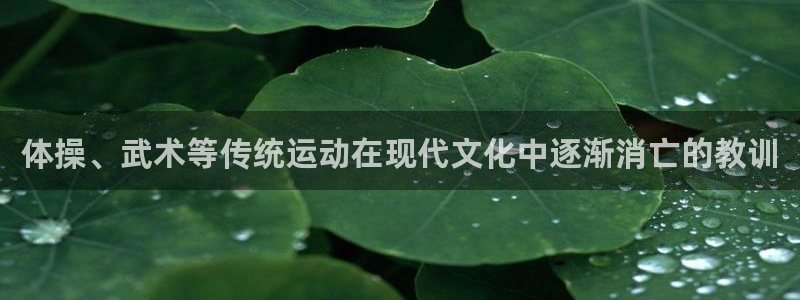 体操、武术等传统运动在现代文化中逐渐消亡的教训