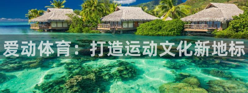 爱动体育：打造运动文化新地标